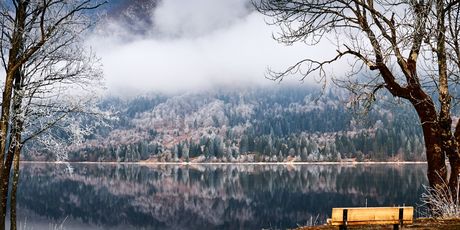 Bohinj - 7