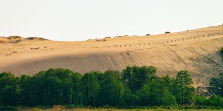 Kurska prevlaka - 6