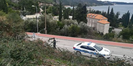Požar kod Dubrovnika (Foto: Dnevnik.hr)