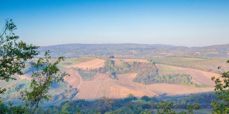 Fruška gora - 3