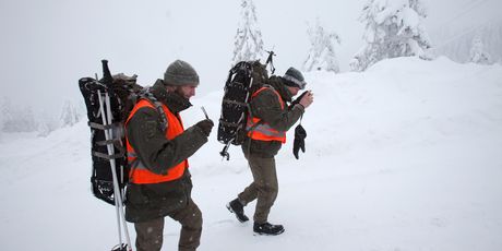 Snijeg je zatrpao Austriju (Foto: AFP) - 2