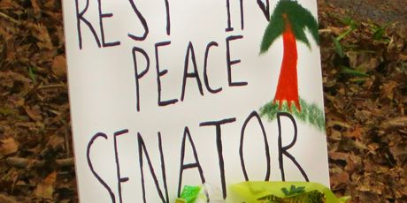 Senator tree