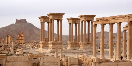 Palmira