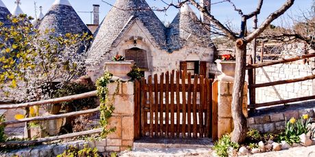 Trullo Edera, Italija - 3