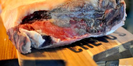 Plijesan Thamnidium na dryage ramsteku