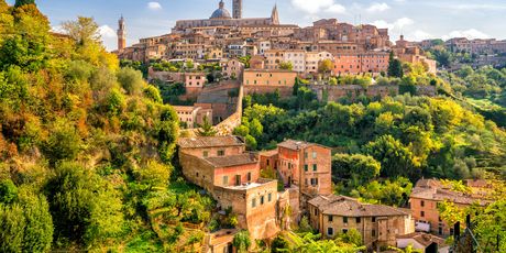 Siena