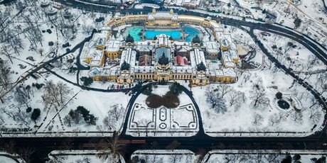 Szechenyi