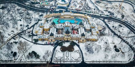 Szechenyi