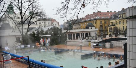 Gellert