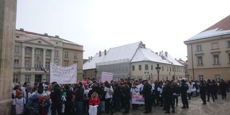 Prosvjed (Foto: Dnevnik.hr)2