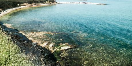 Vama Veche