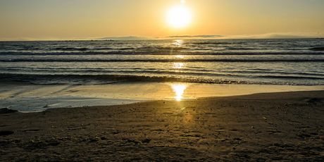 Mamaia