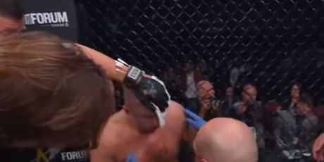 Nokautirani Fedor Emelianenko (Screenshot)