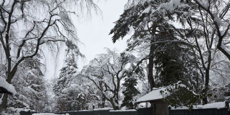 Akita, Japan