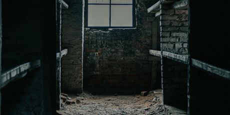 Auschwitz - 1