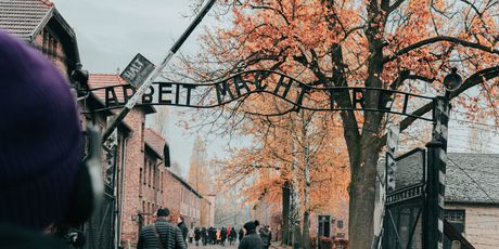 Auschwitz - 3