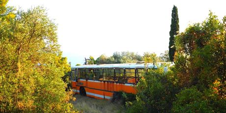 Olupine - 9