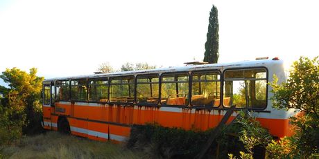 Olupine - 10