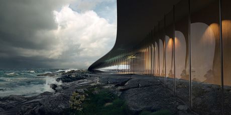 The Whale by Dorte Mandrup - 2