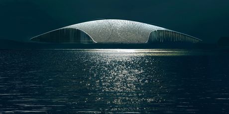 The Whale by Dorte Mandrup - 3