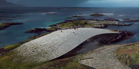 The Whale by Dorte Mandrup - 4