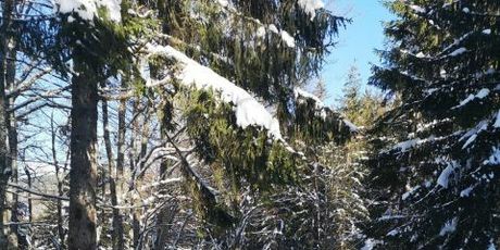 Gorski kotar - 12