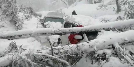 Snijeg u Pakistanu - 4