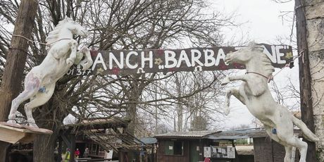 Ranch Barba Tone - 11