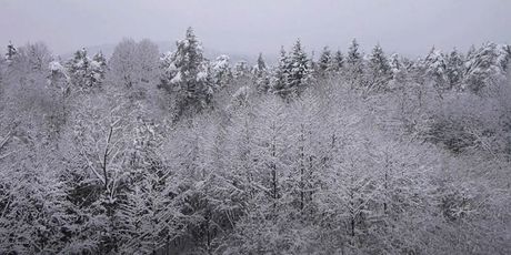 Snijeg u Hrvatskoj - 2