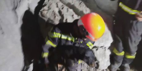 Vatrogasci spasili psa - 5