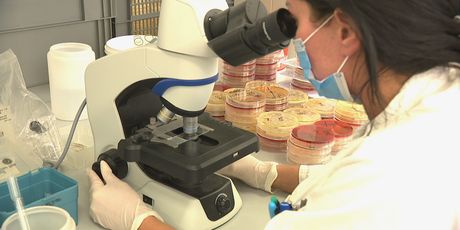 Prevencija raka vrata maternice: Ilustracija - 5