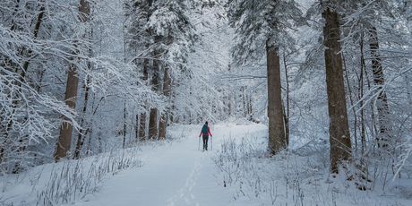 Zima u Gorskom kotaru - 1