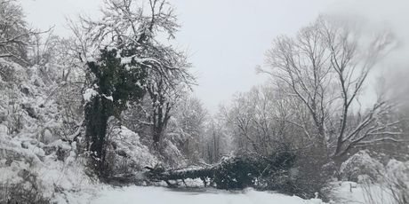 Snijeg okovao sela u Glini - 3