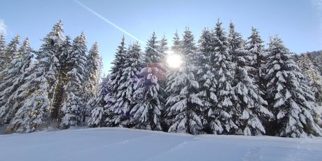 Skijaško trčanje u Gorskom kotaru - 5