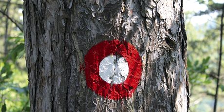150 godina organiziranog planinarstva u Hrvatskoj - 2