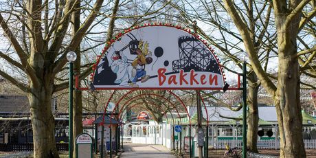 Bakken - 3