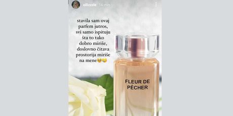 Preporuka parfema