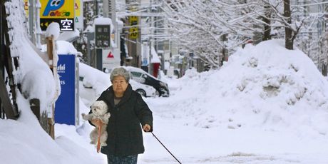 Aomori - 5