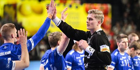 Viktor Hallgrimsson i suigrači iz reprezentacije Islanda