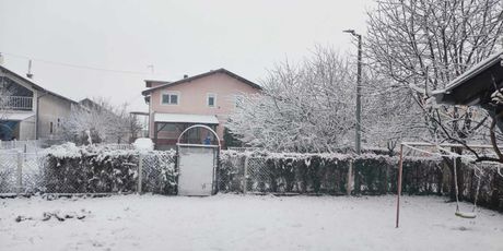 Snijeg u Bjelovaru - 1