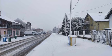 Snijeg u Bjelovaru - 2