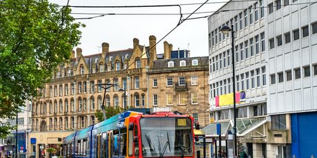 Sheffield ima više drveća nego ljudi - 1