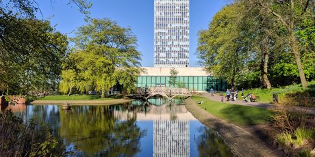 Sheffield ima više drveća nego ljudi - 4
