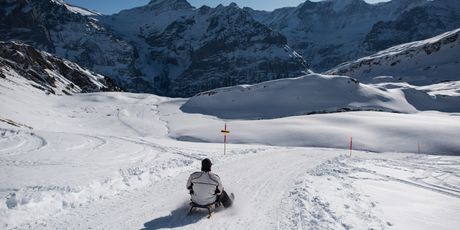 Grindelwald - 1