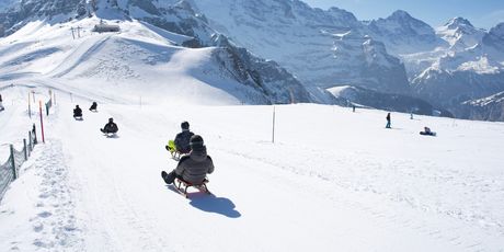 Grindelwald - 2