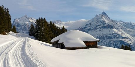 Bussalp toboggan