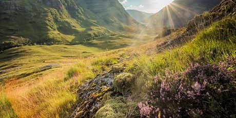 Glencoe
