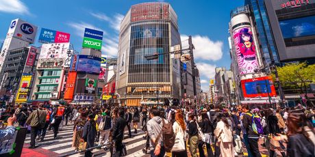 Najprometniji pješački prijelaz na svijetu - Shibuya, Tokio - 12
