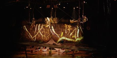 In Magazin: Cirque de Soleil - 6