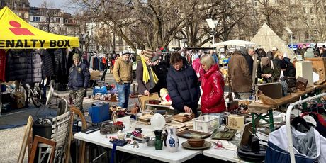 Buvljak Flohmarkt Kanzlei u Zürichu - 6
